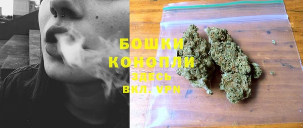 ГАЛЛЮЦИНОГЕННЫЕ ГРИБЫ Пересвет