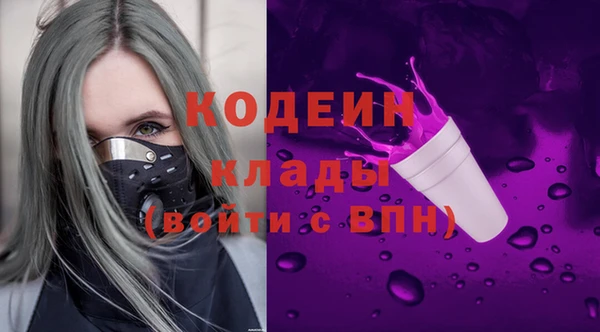 хмурый Абаза