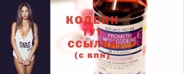 хмурый Абаза
