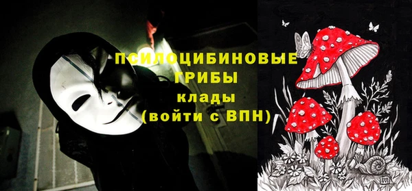 ГАЛЛЮЦИНОГЕННЫЕ ГРИБЫ Пересвет