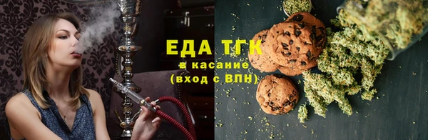 хмурый Абаза