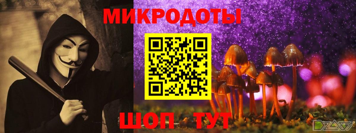 Псилоцибиновые грибы Magic Shrooms  Вход с VPN  Приморско-Ахтарск 